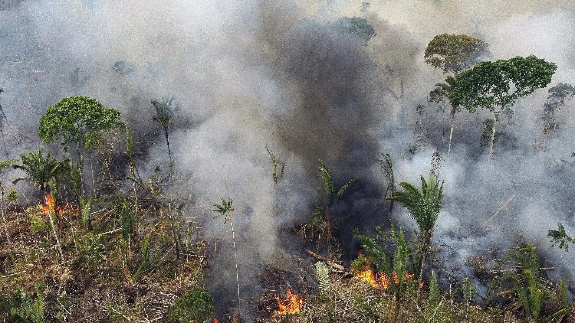 Incendio Amazonias